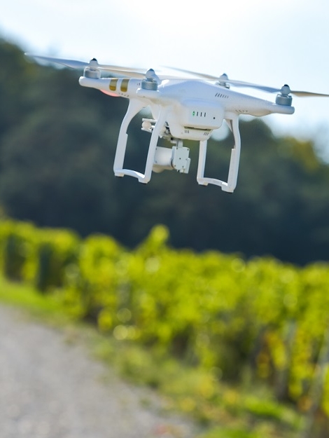 Man flying drone in wineyard, Champagne, France