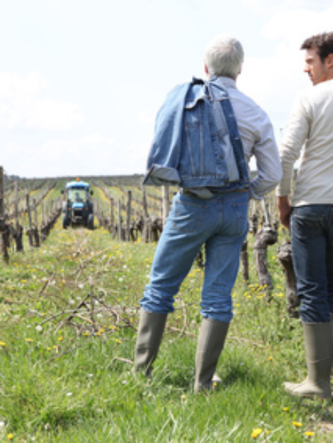 Le facteur humain en agriculture