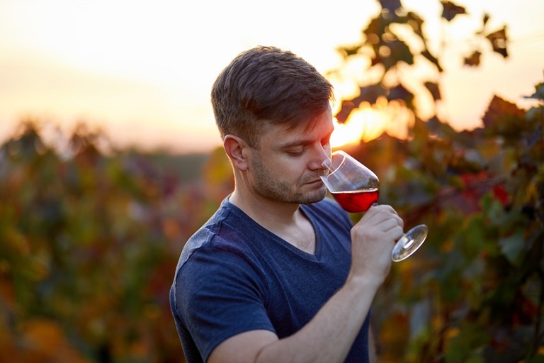 Portrait of man tasting red wine in a vineyard at sunset.